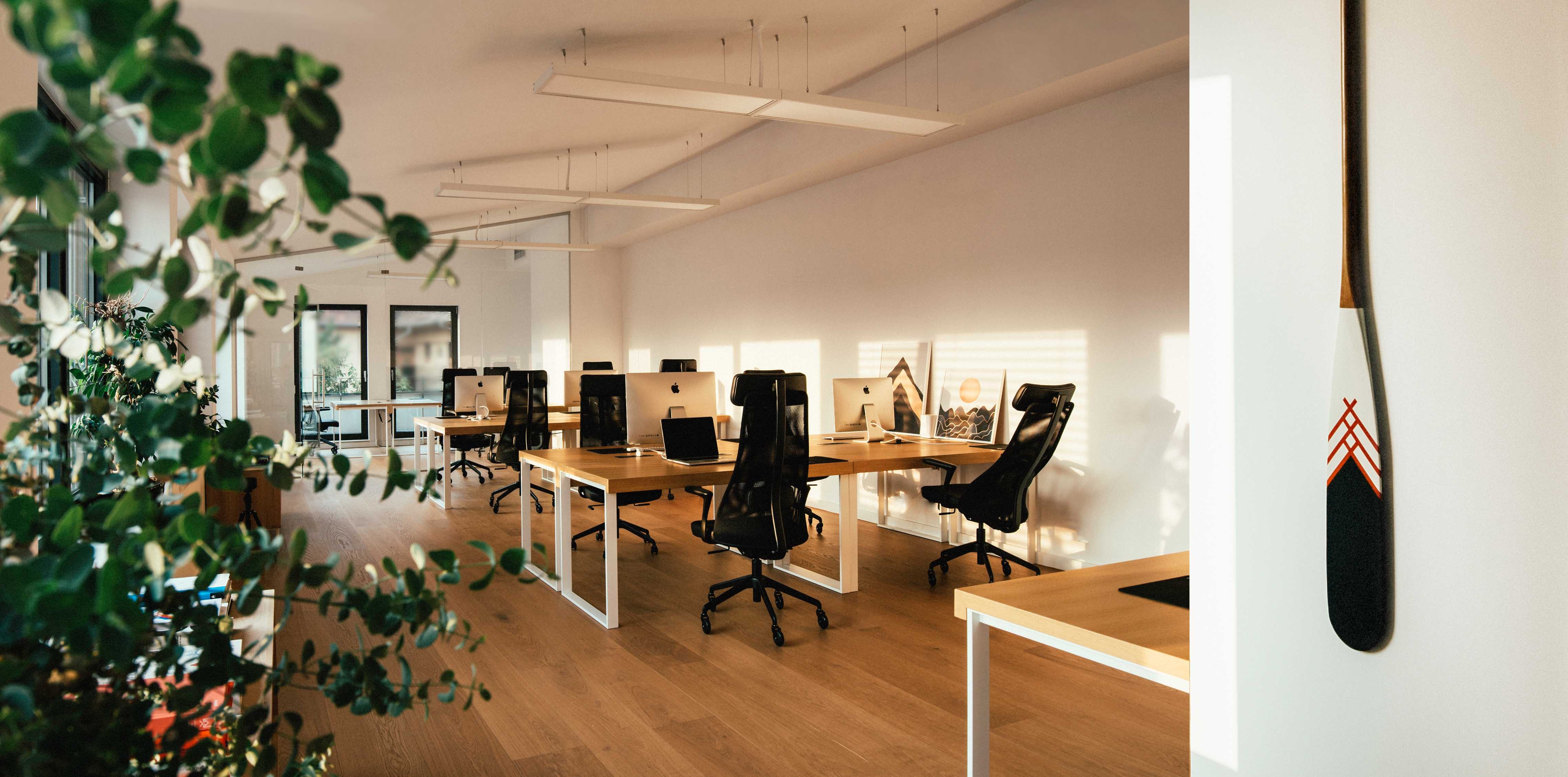 Sala donde los diseñadores de interfaces de usuario crean diseños de productos digitales